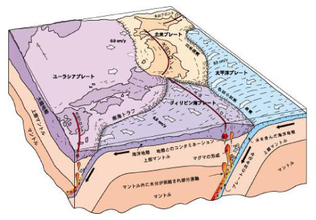 関東地質調査業協会 技術の部屋 ニュースの言葉 技術ニュース プレートテクトニクス